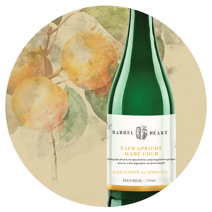 Each Apricot Made Gold | 6.5% | 750 ml | Aged Saison on Apricots